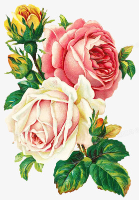 復古手繪花卉素材 工藝品的靈感源泉