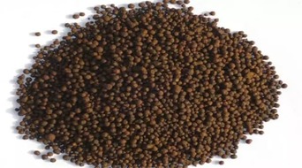 食用農產品價格與生產資料價格雙升下的市場分析