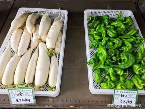 若羌縣供銷超市 連接田頭與餐桌，暢通農產品銷售路