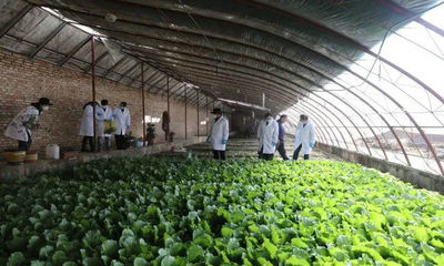 玉樹州全面試行食用農產品合格證制度，保障餐桌安全新舉措